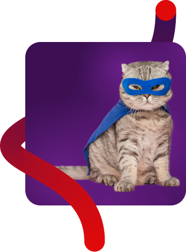 Cat in cape and superhero mask