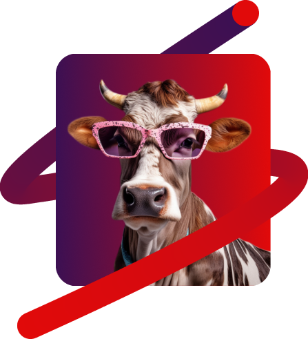 Cow in sunglasses